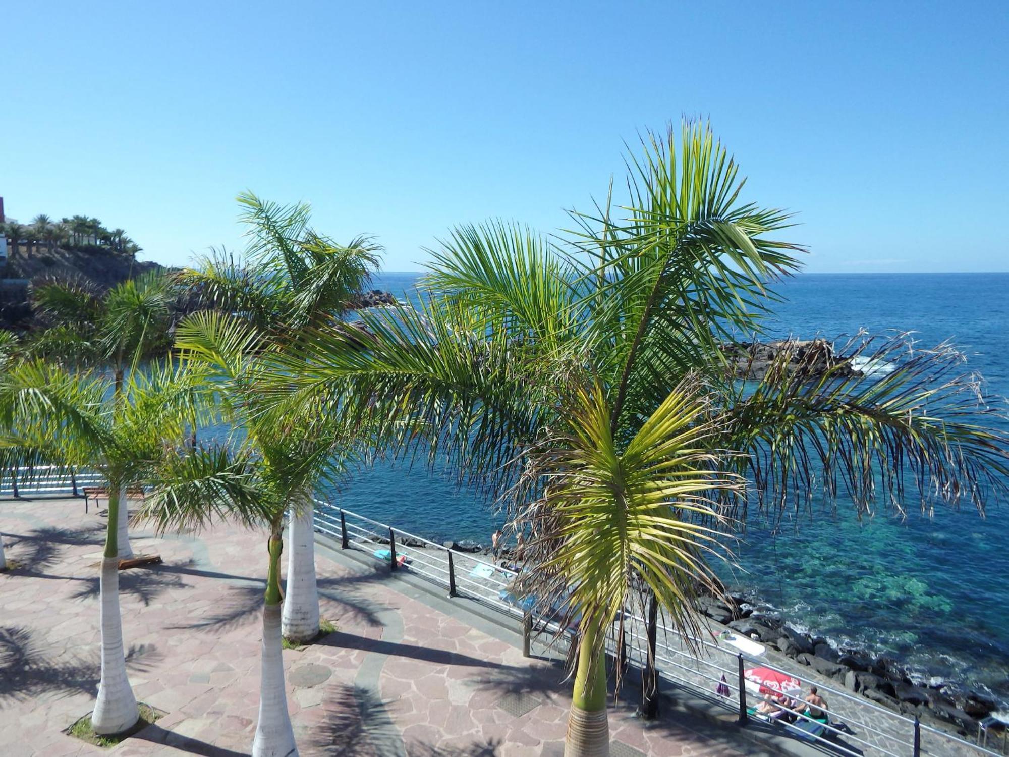 Finca Vinco II With Heated Pool Алькала Экстерьер фото